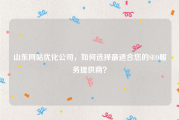 山东网站优化公司，如何选择最适合您的SEO服务提供商？