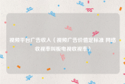 视频平台广告收入（视频广告价值定标准 网络收视率叫板电视收视率）