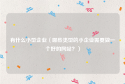 有什么小型企业（哪些类型的小企业需要做一个好的网站？）