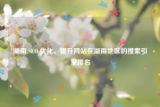 湖南 SEO 优化，提升网站在湖南地区的搜索引擎排名