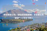 微信营销公司(“微信营销新策略：企业增长的秘诀”)（学会了吗）