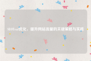 SEOTrad优化，提升网站流量的关键策略与实践