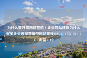 为什么要开展网络营销（企业网站建设为什么很多企业选择营销型网站建设2023-6-19 15：20：26　浏览：0）