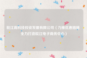 皖江高科技投资发展有限公司（力推优惠措施 全力打造皖江电子商务中心）