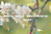 重庆公司( “重庆公司：引领地区发展的新力量”)（干货满满）
