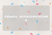 天津网站优化，提升本地企业竞争力的关键策略