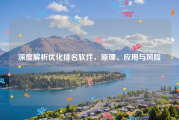 深度解析优化排名软件，原理、应用与风险