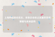 上海网站排名优化，本地企业抢占流量的实战策略与未来趋势