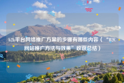 b2b平台网络推广方案的步骤有哪些内容（“B2C网站推广方法与效果”收获总结）