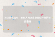 深圳优化公司，解码大湾区企业转型升级的智造密码