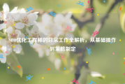 SEO优化工程师的日常工作全解析，从基础操作到策略制定