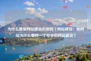 为什么要做网站建设的原因（网站建设：做网站为什么要找一个专业的网站建设）