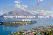 如何找到一家专业做网站的公司，全面指南与实用建议