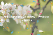 中小企业创新能力（营销型网站：中小企业建站的好处）