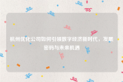 杭州优化公司如何引领数字经济新时代，发展密码与未来机遇