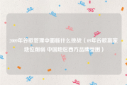 2009年谷歌管理中面临什么挑战（09年谷歌赢家地位削弱 中国地区西方品牌受困）