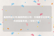 衡阳网络公司(衡阳网络公司：引领数字化转型，共创智能未来)（学到了吗）