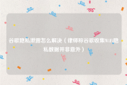 谷歌隐私泄露怎么解决（律师称谷歌收集WiFi隐私数据并非意外）