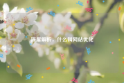 深度解析，什么叫网站优化