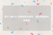 深入了解 SEO 关键词优化软件，提升网站排名的利器