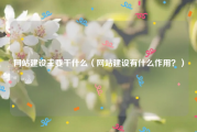网站建设主要干什么（网站建设有什么作用？）