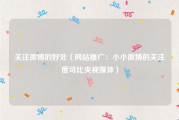 关注微博的好处（网站推广：小小微博的关注度可比央视媒体）