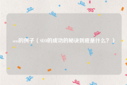 seo的例子（SEO的成功的秘诀到底是什么？）