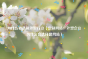 为什么要选择外贸行业（定制网站：外贸企业为什么会选择建网站）