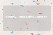蜘蛛爬网站，揭秘搜索引擎背后的数据猎人
