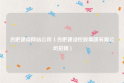 合肥建设网站公司（合肥建设控股集团有限公司招聘）