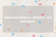 营销型网站的目标是什么（营销型网站：存在标准化建站吗）