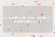 那个搜索引擎不屏蔽其他网站（搜索引擎不喜欢光顾我的网站怎么办？）