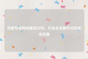 合肥专业网站建设公司，打造企业数字化的坚实后盾