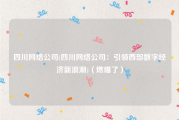 四川网络公司(四川网络公司：引领西部数字经济新浪潮)（燃爆了）