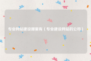 专业网站建设哪里有（专业建设网站的公司）