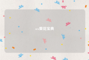 seo葵花宝典