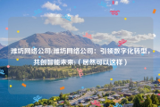 潍坊网络公司(潍坊网络公司：引领数字化转型，共创智能未来)（居然可以这样）