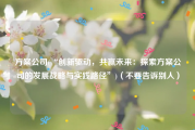 方案公司(“创新驱动，共赢未来：探索方案公司的发展战略与实践路径”)（不要告诉别人）