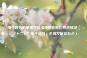 电子政务的未来可能出现哪些新的应用领域（“十二五”电子政务：走向发展新起点）