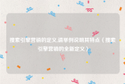 搜索引擎营销的定义,请举例说明其特点（搜索引擎营销的全新定义）