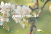 关键词优化软件乐云seo排名