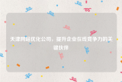 天津网站优化公司，提升企业在线竞争力的关键伙伴
