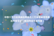 中国十大行业领袖品牌排名（行业领袖宣布推出开放平台，推动网络电视发展）