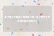 电子商务下物流业的发展战略（电子商务下物流的发展趋势分析）