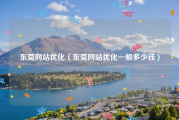 东莞网站优化（东莞网站优化一般多少钱）