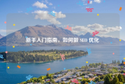 新手入门指南，如何做 SEO 优化
