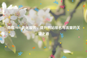 百度 SEO 优化服务，提升网站排名与流量的关键之道