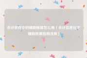 会计软件中的辅助核算怎么用（会计信息化下辅助核算应用浅探）