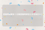 楚雄网站建设（云南楚雄网微信公众号叫什么）