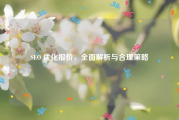 SEO 优化报价，全面解析与合理策略